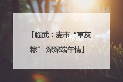 临武：麦市“草灰粽” 深深端午情