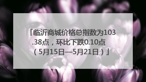 临沂商城价格总指数为103.38点，环比下跌0.10点（5月15日—5月21日）