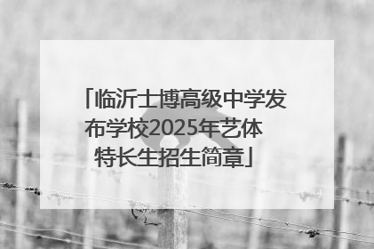 临沂士博高级中学发布学校2025年艺体特长生招生简章