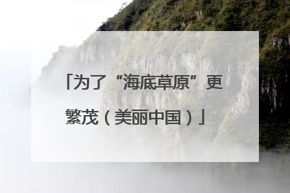 为了“海底草原”更繁茂（美丽中国）
