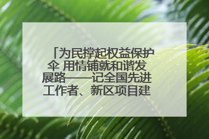 为民撑起权益保护伞 用情铺就和谐发展路——记全国先进工作者、新区项目建设中心干部卢小勇