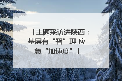 主题采访进陕西：基层有“智”理 应急“加速度”
