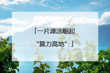 一片滩涂崛起“算力高地”