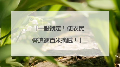一眼锁定！便衣民警追逐百米擒贼！