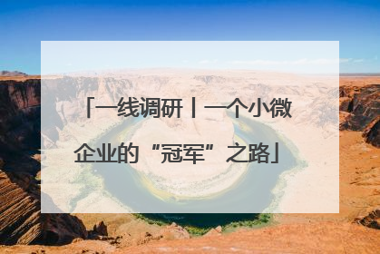 一线调研丨一个小微企业的“冠军”之路