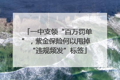 一中支领“百万罚单”，紫金保险何以甩掉“违规频发”标签