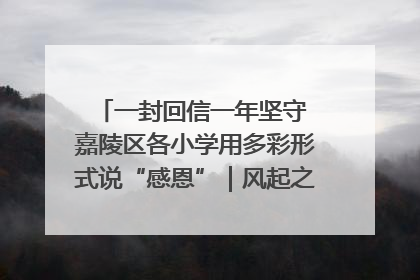 一封回信一年坚守 嘉陵区各小学用多彩形式说“感恩”｜风起之江 扶摇直上