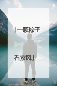 一颗粽子看家风