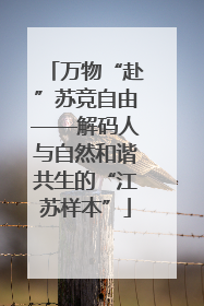 万物“赴”苏竞自由——解码人与自然和谐共生的“江苏样本”