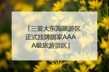 三亚大东海旅游区正式挂牌国家AAAA级旅游景区