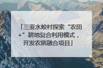 三亚水蛟村探索“农田+”耕地复合利用模式，开发农旅融合项目