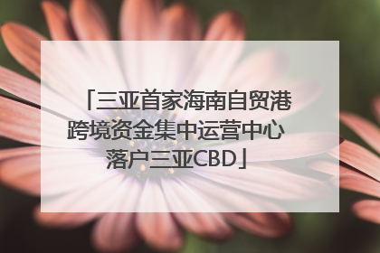 三亚首家海南自贸港跨境资金集中运营中心落户三亚CBD
