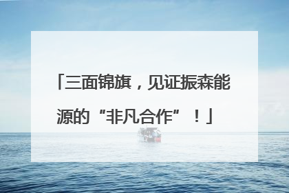 三面锦旗，见证振森能源的“非凡合作”！