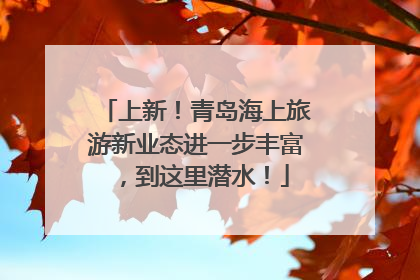 上新！青岛海上旅游新业态进一步丰富，到这里潜水！