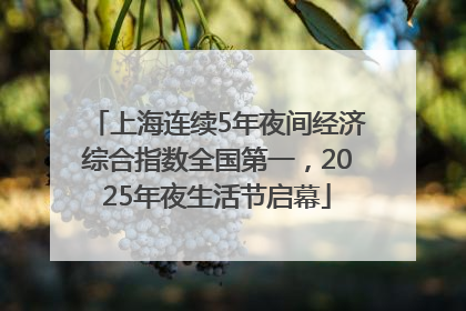 上海连续5年夜间经济综合指数全国第一，2025年夜生活节启幕