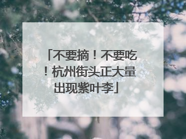 不要摘！不要吃！杭州街头正大量出现紫叶李