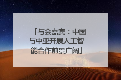 与会嘉宾：中国与中亚开展人工智能合作前景广阔