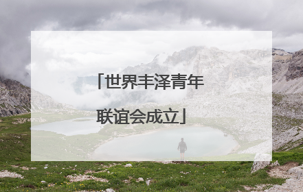 世界丰泽青年联谊会成立