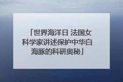 世界海洋日 法国女科学家讲述保护中华白海豚的科研奥秘