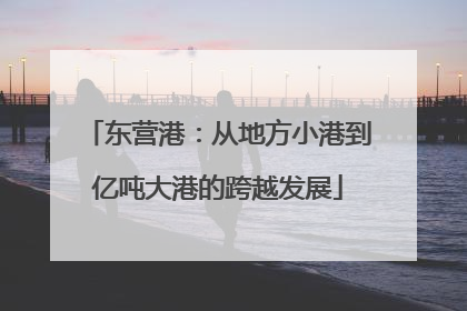 东营港：从地方小港到亿吨大港的跨越发展