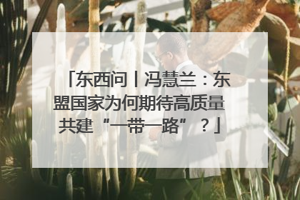 东西问丨冯慧兰：东盟国家为何期待高质量共建“一带一路”？