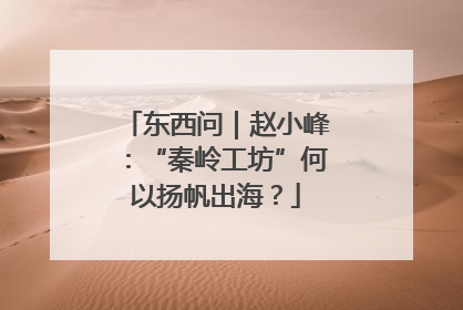 东西问｜赵小峰：“秦岭工坊”何以扬帆出海？