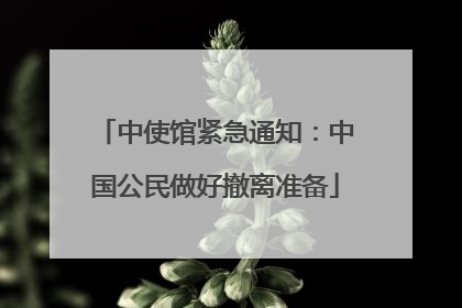 中使馆紧急通知：中国公民做好撤离准备