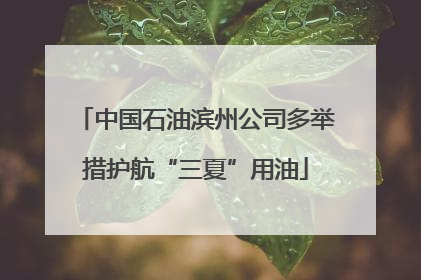 中国石油滨州公司多举措护航“三夏”用油