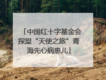 中国红十字基金会探望“天使之旅”青海先心病患儿