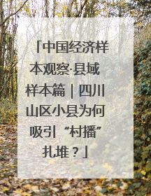 中国经济样本观察·县域样本篇｜四川山区小县为何吸引“村播”扎堆？