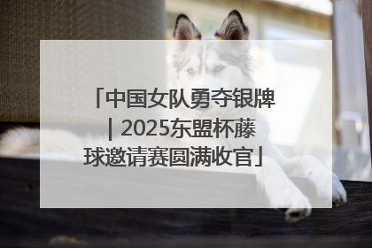 中国女队勇夺银牌｜2025东盟杯藤球邀请赛圆满收官