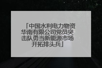 中国水利电力物资华南有限公司党员突击队勇当新能源市场开拓排头兵