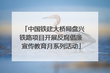中国铁建大桥局盘兴铁路项目开展反腐倡廉宣传教育月系列活动
