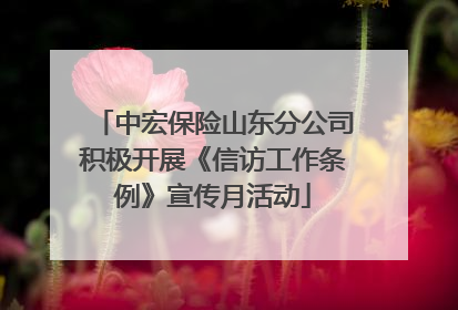 中宏保险山东分公司积极开展《信访工作条例》宣传月活动