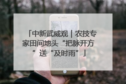 中新武威观｜农技专家田间地头“把脉开方”送“及时雨”