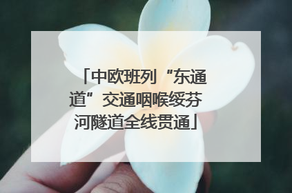 中欧班列“东通道”交通咽喉绥芬河隧道全线贯通