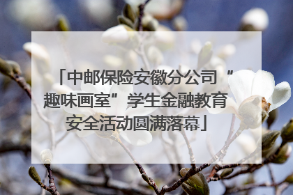 中邮保险安徽分公司“趣味画室”学生金融教育安全活动圆满落幕