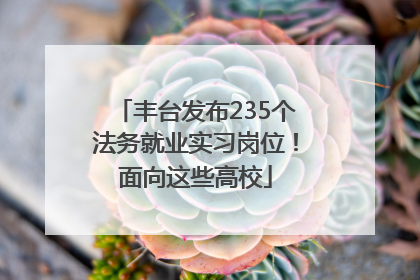 丰台发布235个法务就业实习岗位！面向这些高校
