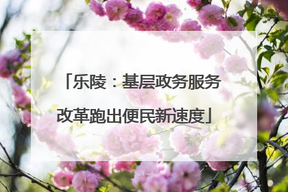 乐陵：基层政务服务改革跑出便民新速度