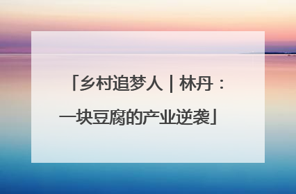 乡村追梦人｜林丹：一块豆腐的产业逆袭
