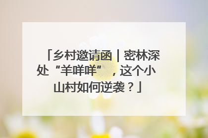 乡村邀请函｜密林深处“羊咩咩”，这个小山村如何逆袭？