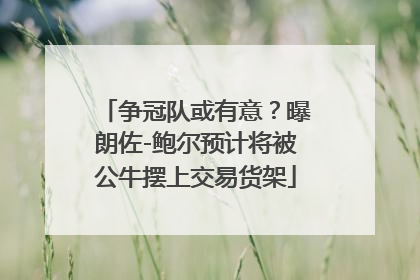 争冠队或有意？曝朗佐-鲍尔预计将被公牛摆上交易货架