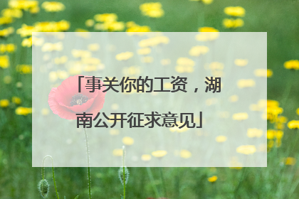 事关你的工资，湖南公开征求意见