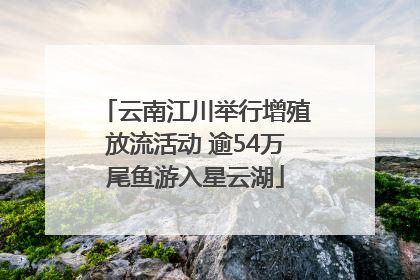 云南江川举行增殖放流活动 逾54万尾鱼游入星云湖