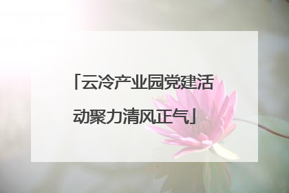 云冷产业园党建活动聚力清风正气
