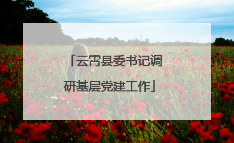云霄县委书记调研基层党建工作