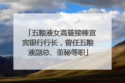 五粮液女高管接棒宜宾银行行长，曾任五粮液副总、董秘等职