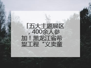 五大主题展区，400余人参加！黑龙江省希望工程“义卖童园”活动举行