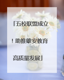 五校联盟成立！助推雄安教育高质量发展
