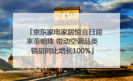 京东家电家居惊喜日迎来董明珠 带动空调品类销量同比增长100%